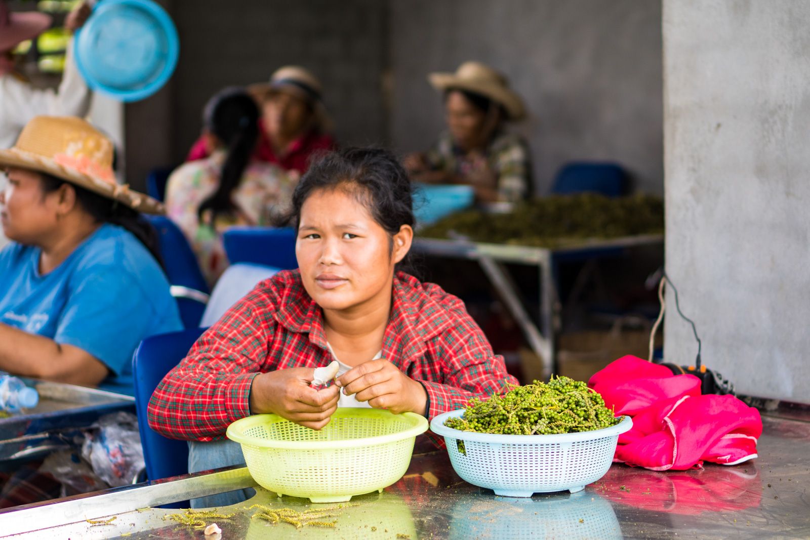 Entre terre et Khmer