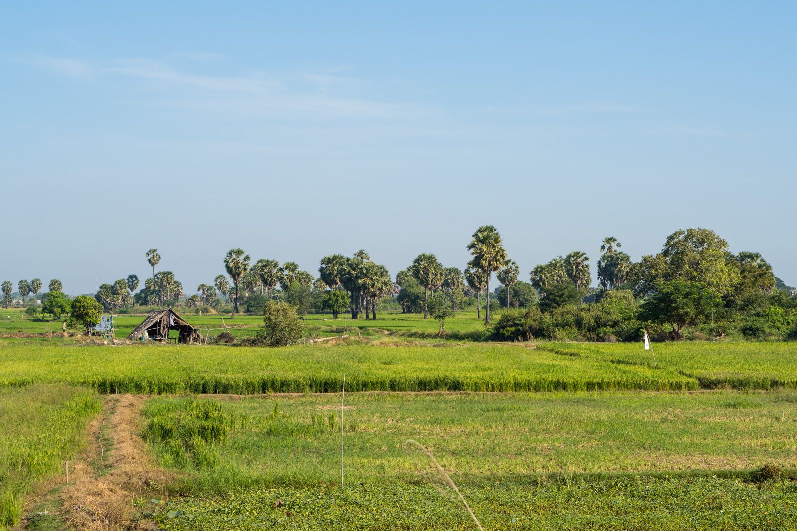 Entre terre et Khmer