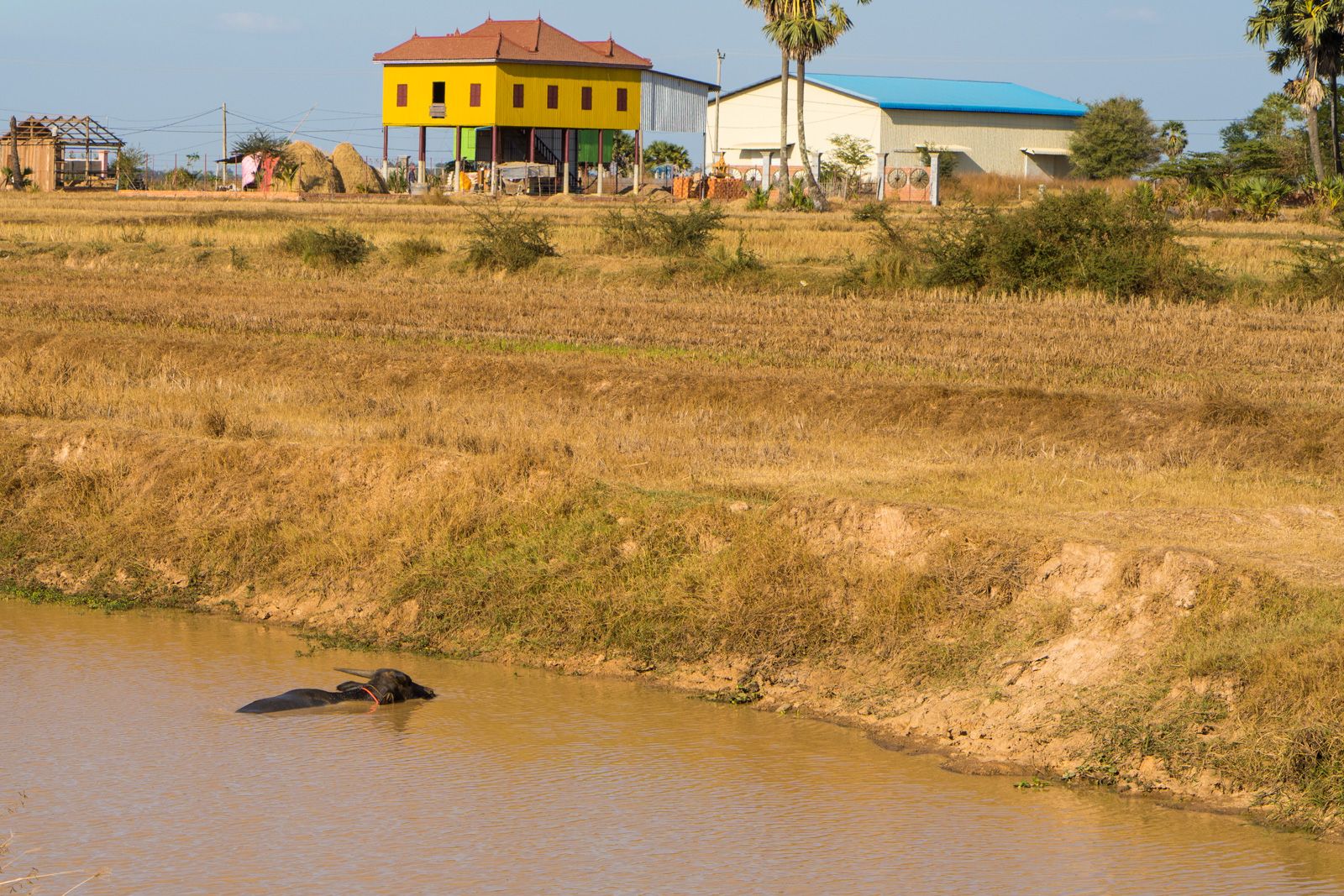 Entre terre et Khmer