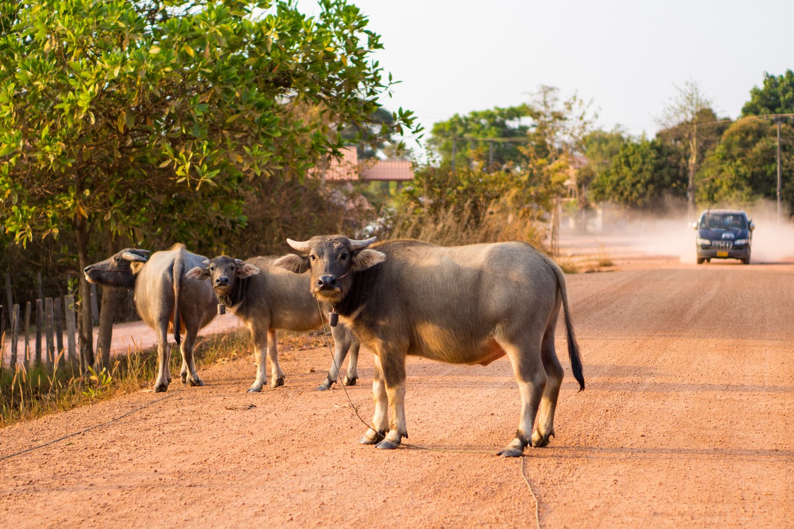 Là-bas au Laos