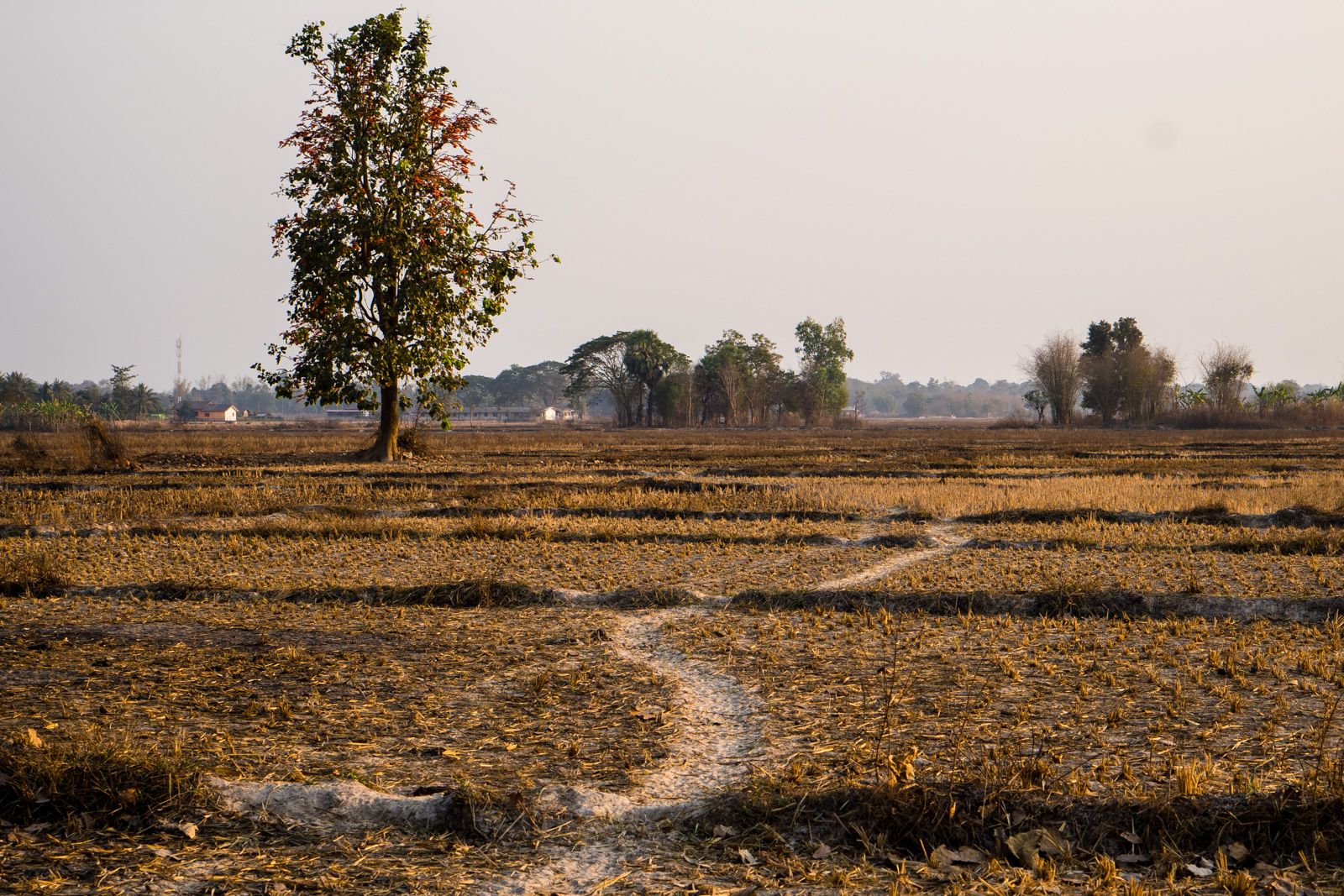 Là-bas au Laos