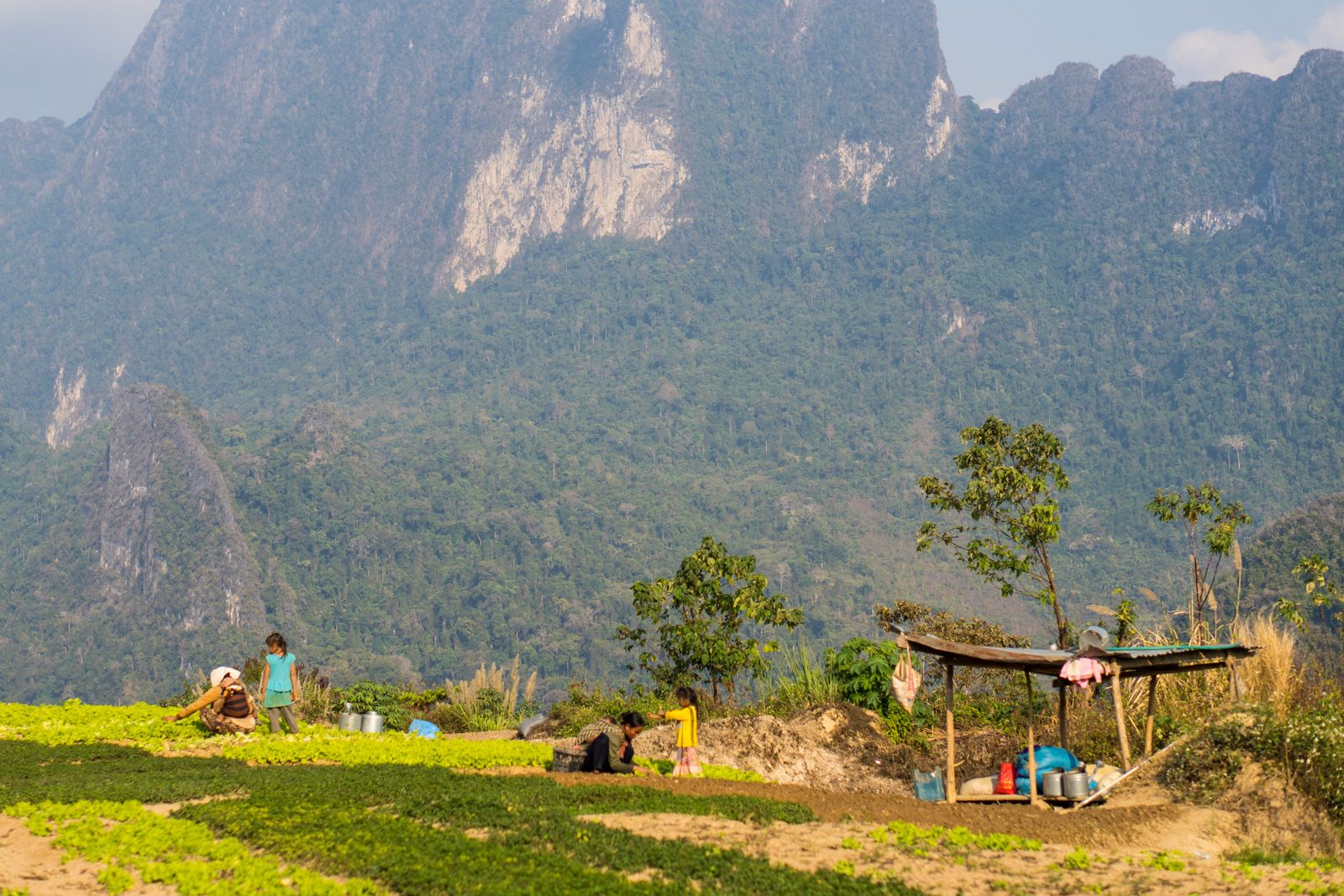 Là-bas au Laos