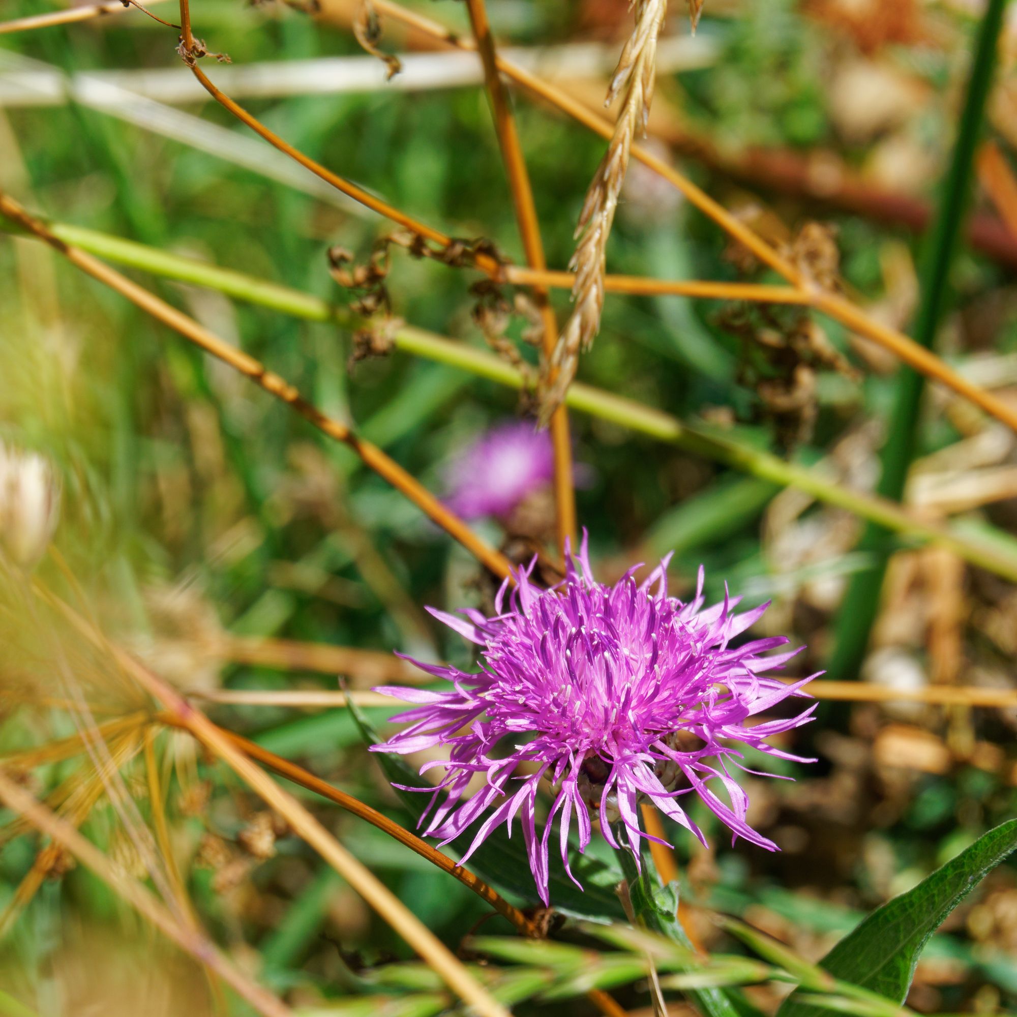 Trouver Savoie