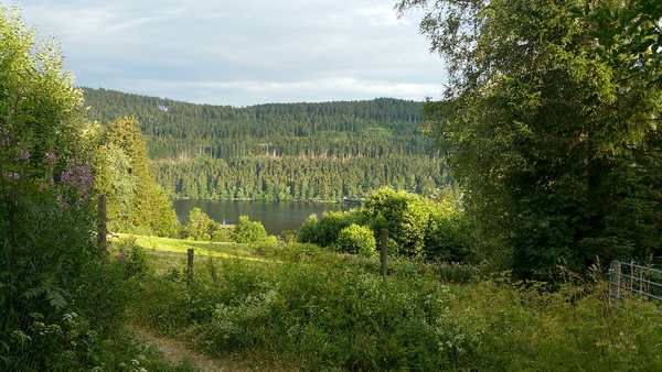 T'as voulu voir Vierzon