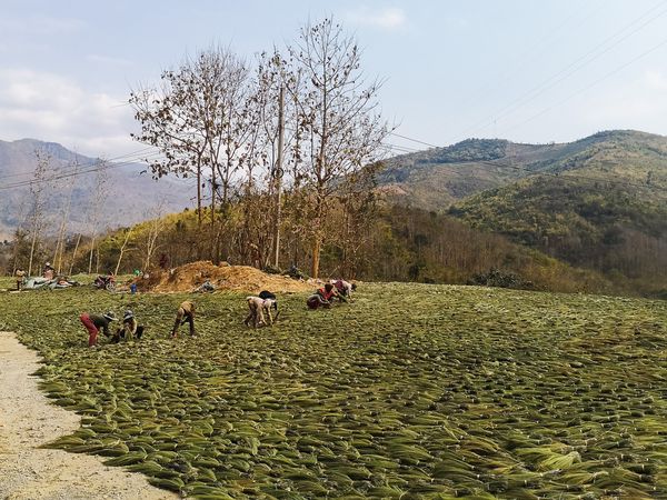 Là-bas au Laos